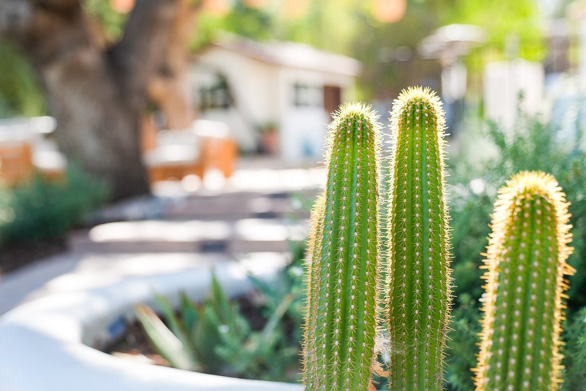Landscape Design photography by Artisan Studios