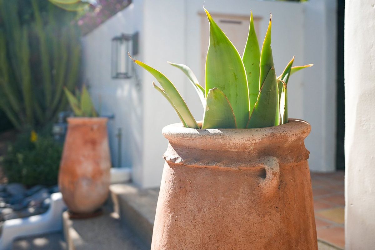 Landscape Design photography by Artisan Studios