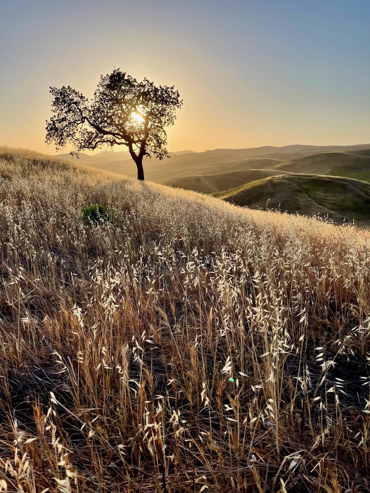 Landscapes photography