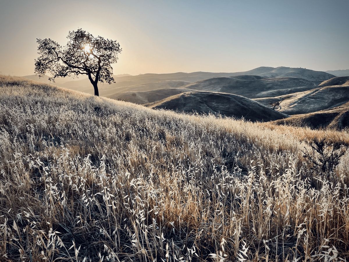 Landscapes photography by Artisan Studios
