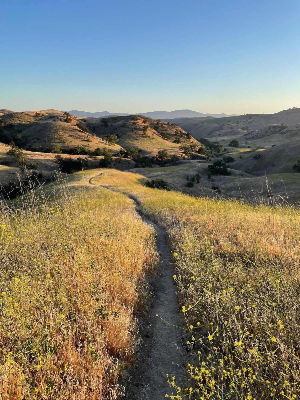 Landscapes photography by Artisan Studios