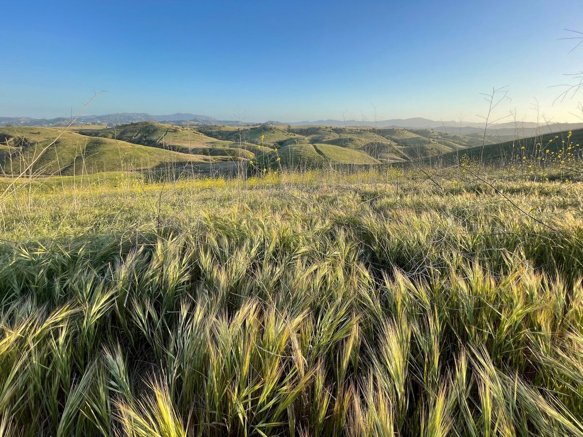 Landscapes photography by Artisan Studios