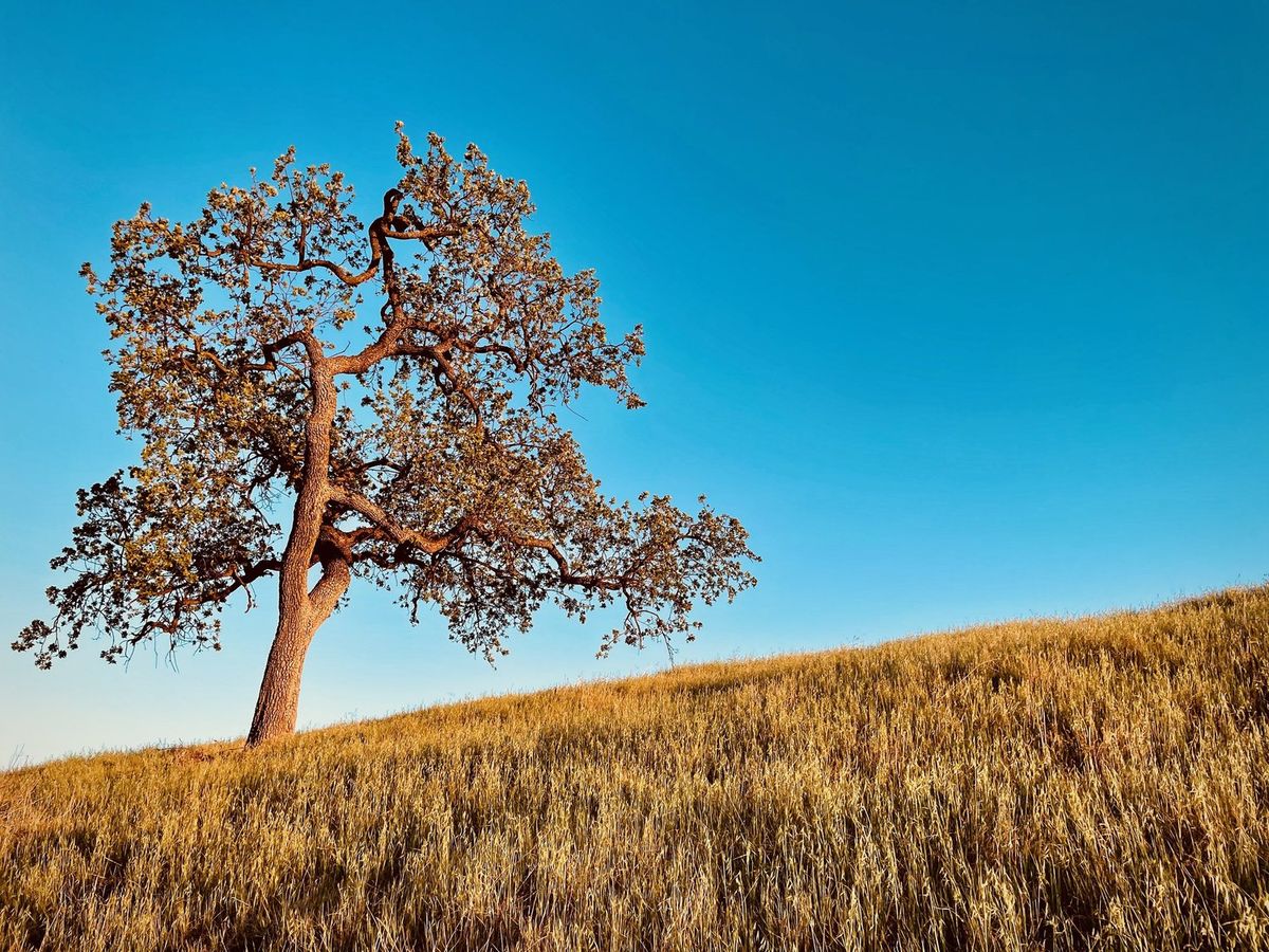 Landscapes photography by Artisan Studios
