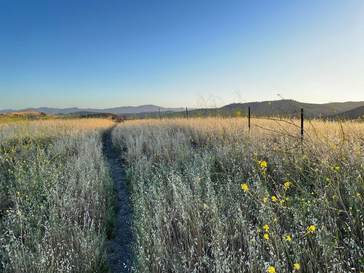 Landscapes photography by Artisan Studios