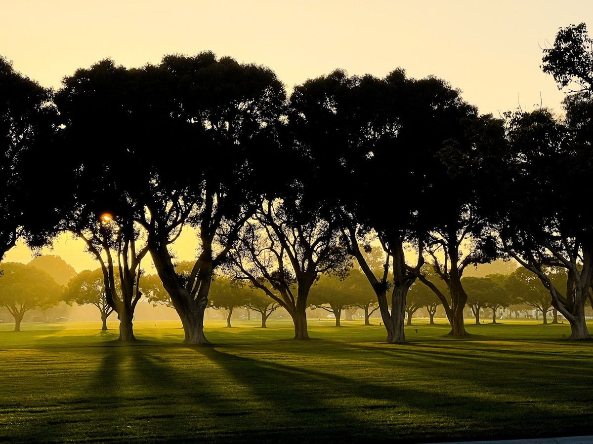 Landscapes photography by Artisan Studios