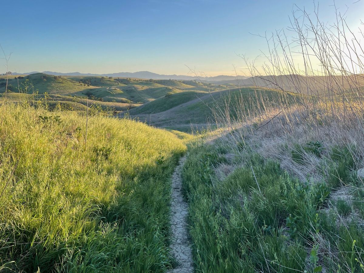 Landscapes photography by Artisan Studios