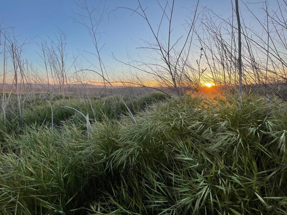 Landscapes photography by Artisan Studios