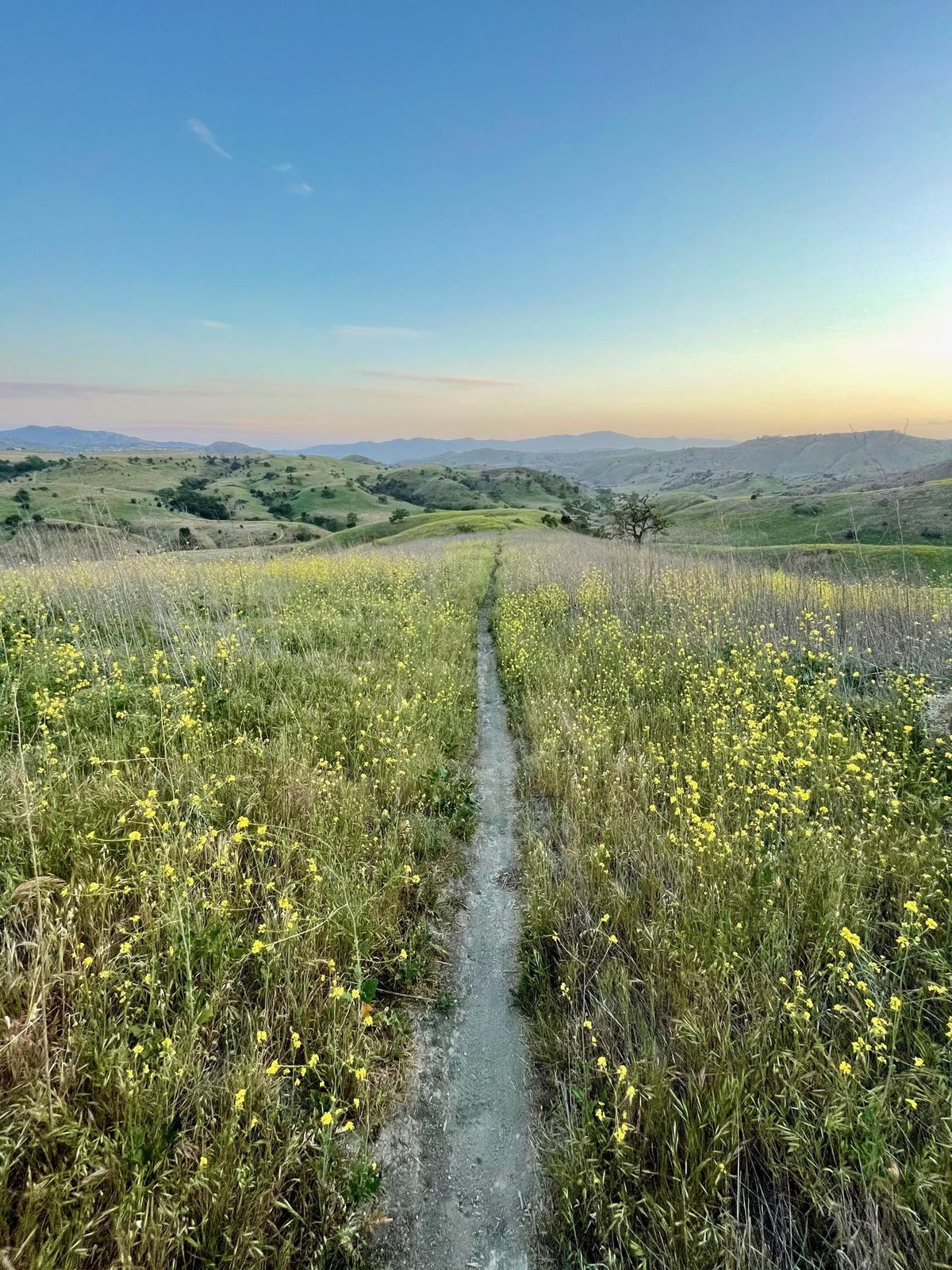 Landscapes photography by Artisan Studios