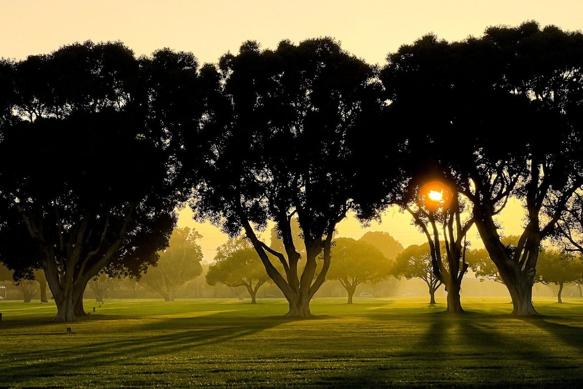 Landscapes photography by Artisan Studios