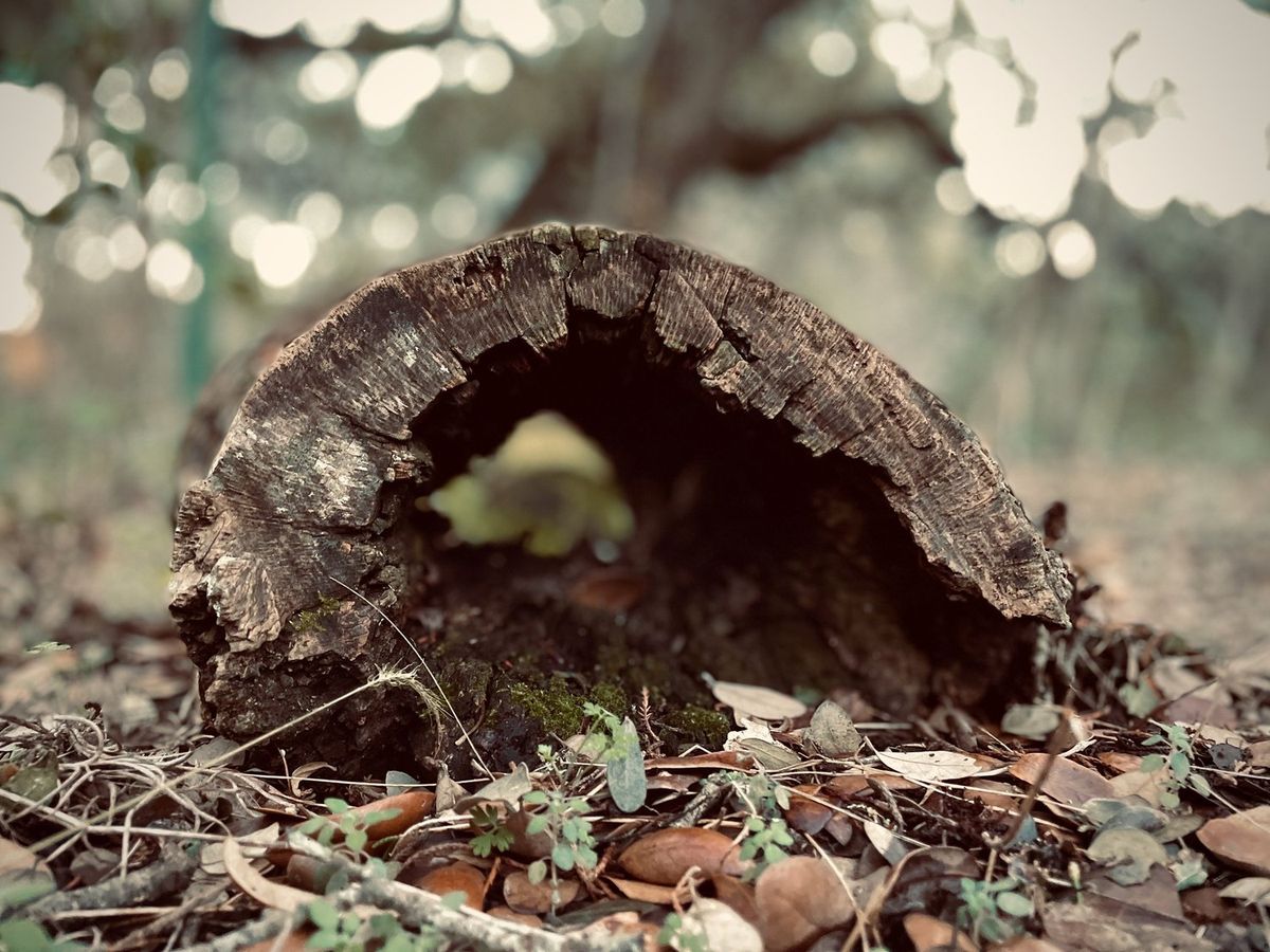 Landscapes photography by Artisan Studios