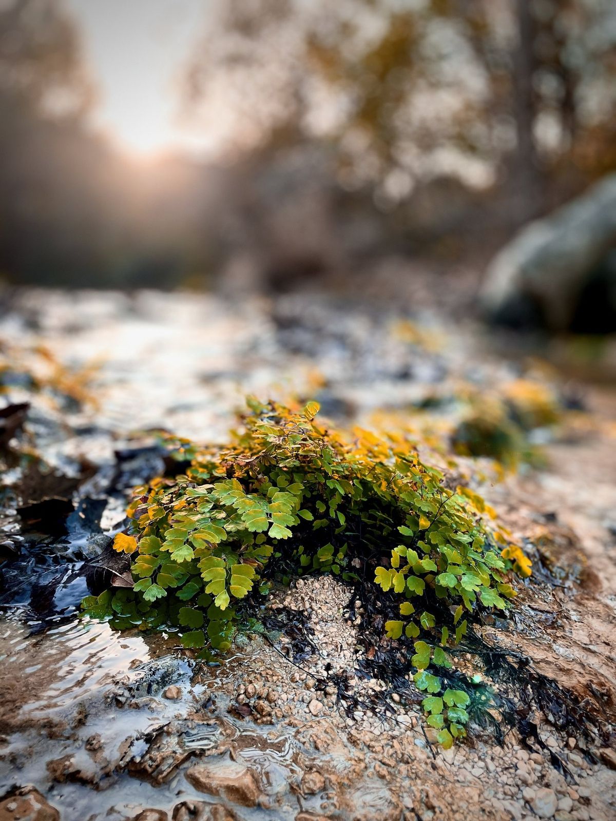 Landscapes photography by Artisan Studios